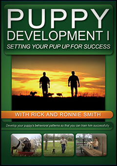 Puppy Development DVD