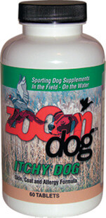 Zoom dog hot sale itchy dog