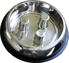 Brake-Fast Slow Feeding Bowl in Stainless Steel