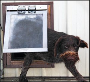 Gun Dog House Doggy Door