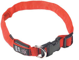 LED Lighted Dog Collar in Orange