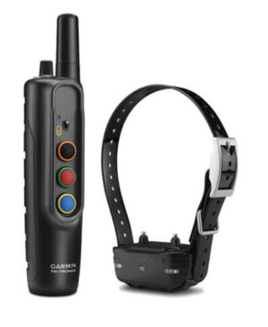 Garmin Pro 70 Handheld Remote and PT 10 Collar