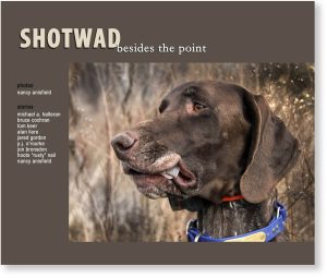 "Shotwad: Besides the Point" Book