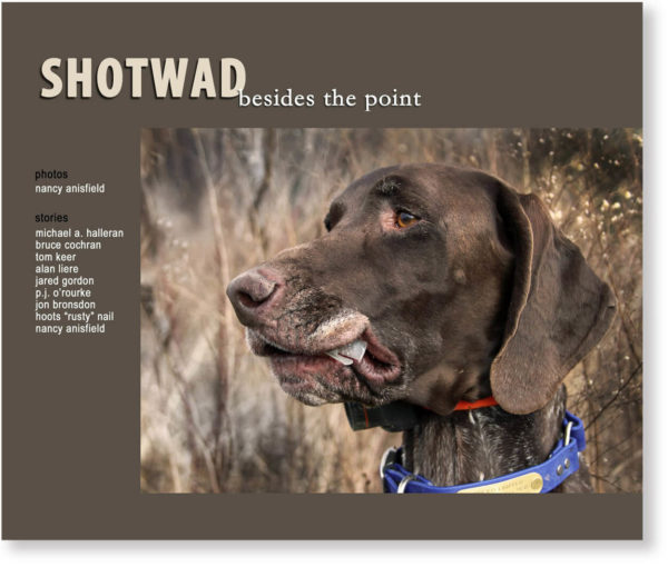 "Shotwad: Besides the Point" Book