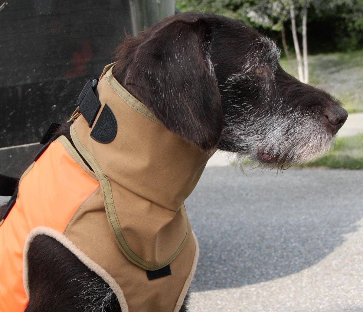 Protective Gear for Your Dog