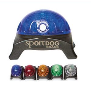 Sportdog Location Beacon