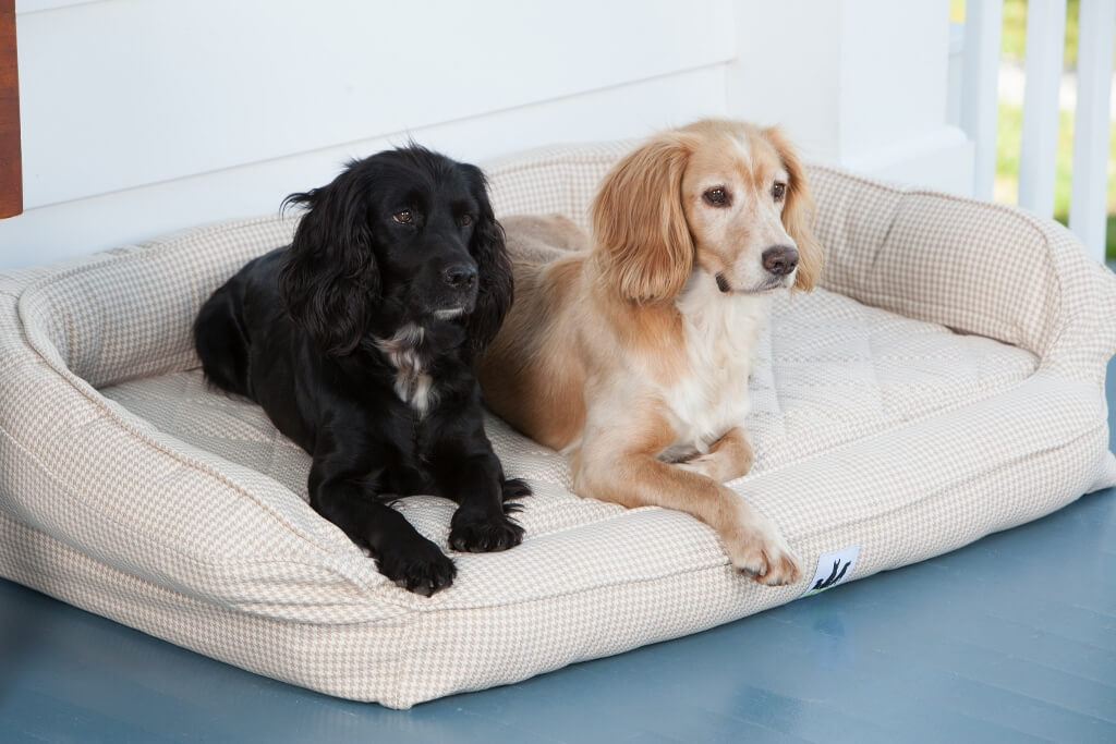 dog bed foam inserts
