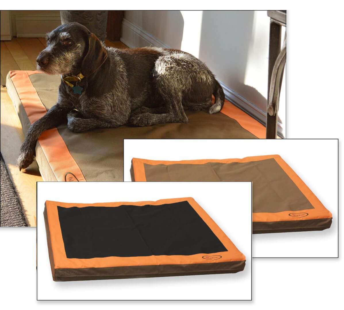 Hunting Dog Beds for Sale Online Ugly Dog Hunting