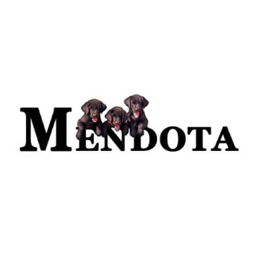 Mendota Logo