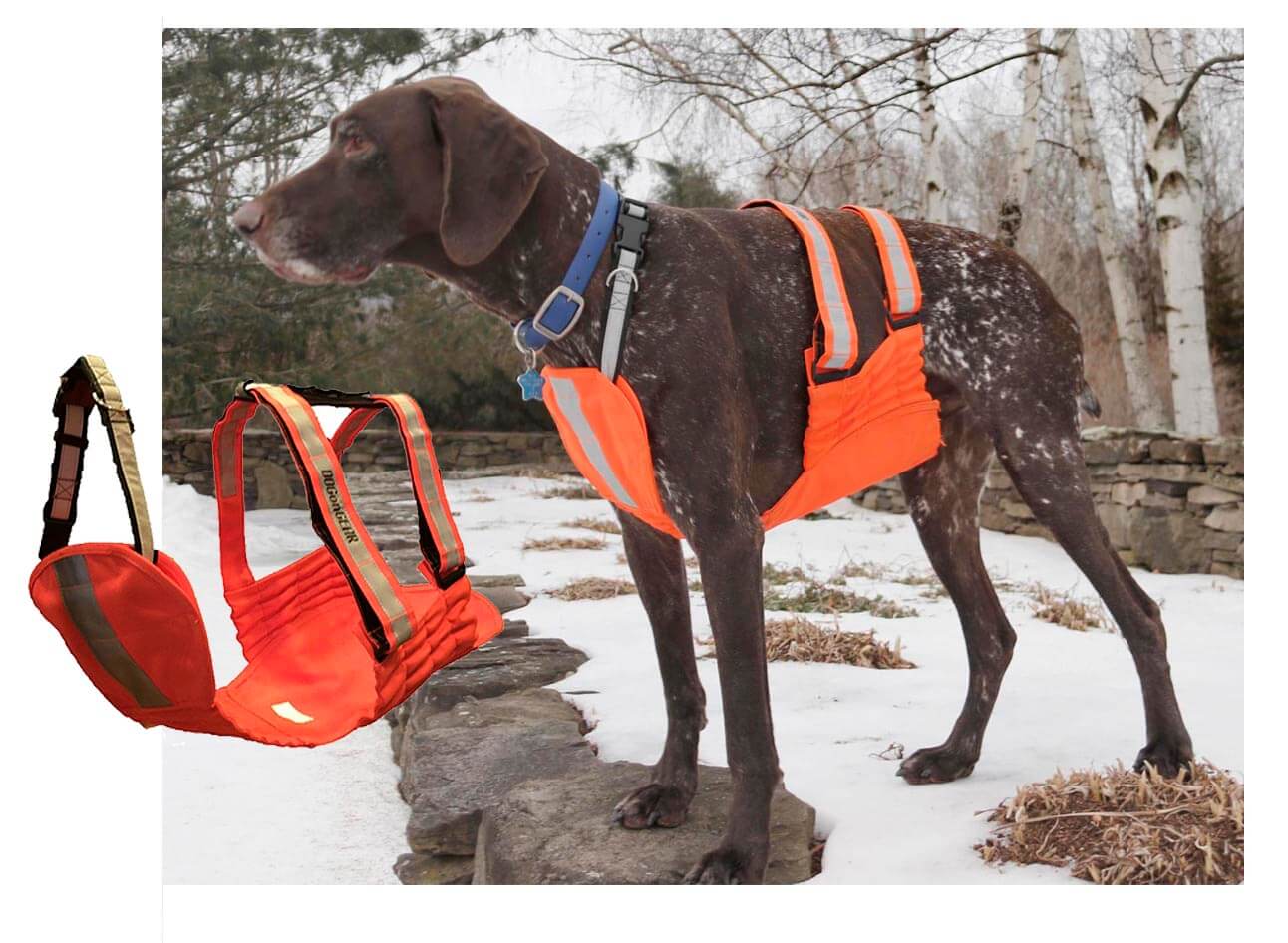 Hunting Dog Supplies for Sale Online Ugly Dog Hunting