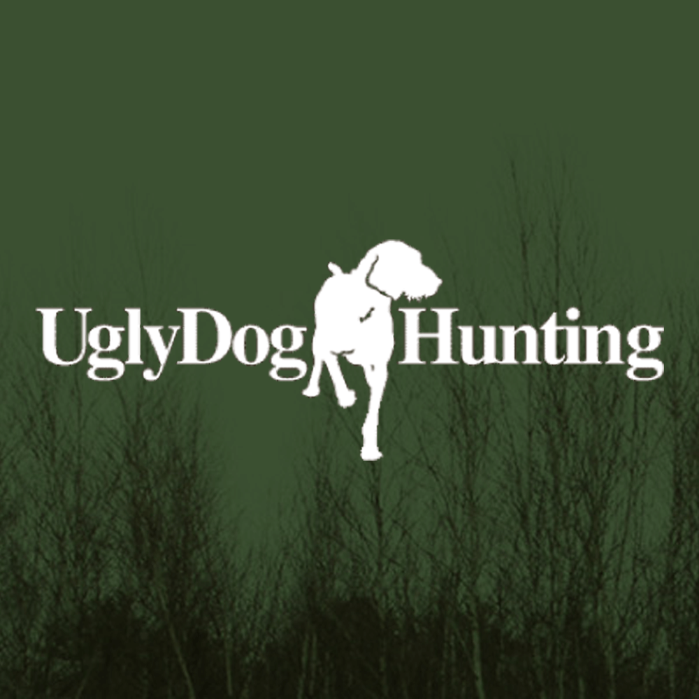 hunting dog protective gear