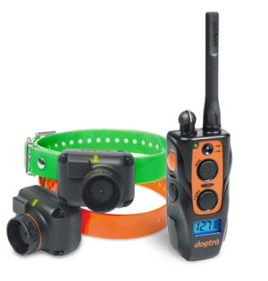 dogtra 2702 training & beeping collar