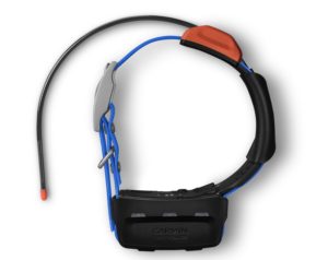 Garmin T5x Dog Tracking GPS Collar