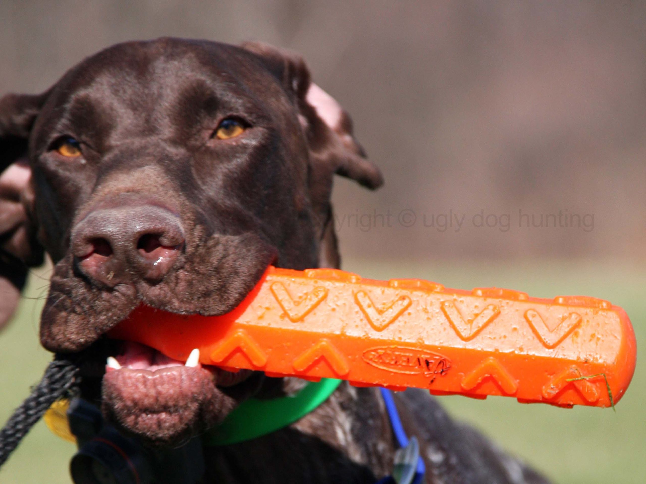 Dog Training Bumpers - Canvas Retrieving Dummy | Floating Design | For Hunting & Fetch Training | Easy Throw Weighted Bumper