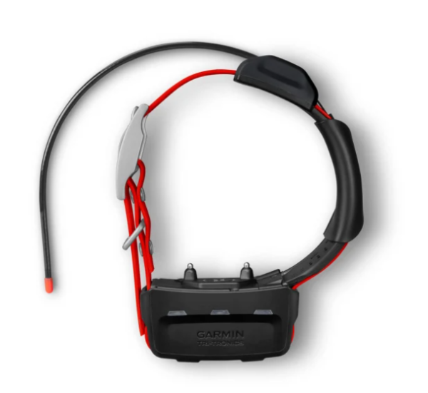 Garmin TT 15X GPS Collar