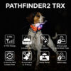 Dogtra Pathfinder 2 Trx Collar Only